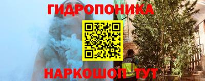 ПСИЛОЦИБИНОВЫЕ ГРИБЫ Изобильный