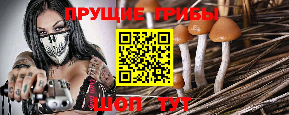 Галлюциногенные грибы Psilocybe  Вход с VPN  Лысьва  Псилоцибиновые грибы Psilocybine cubensis 