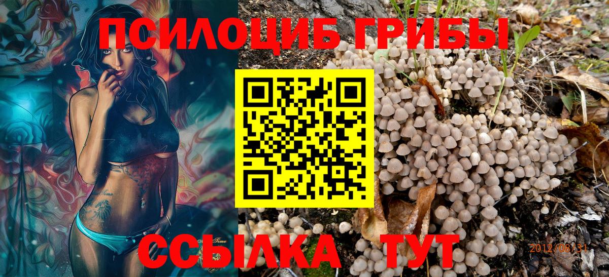Галлюциногенные грибы MAGIC MUSHROOMS Лысьва
